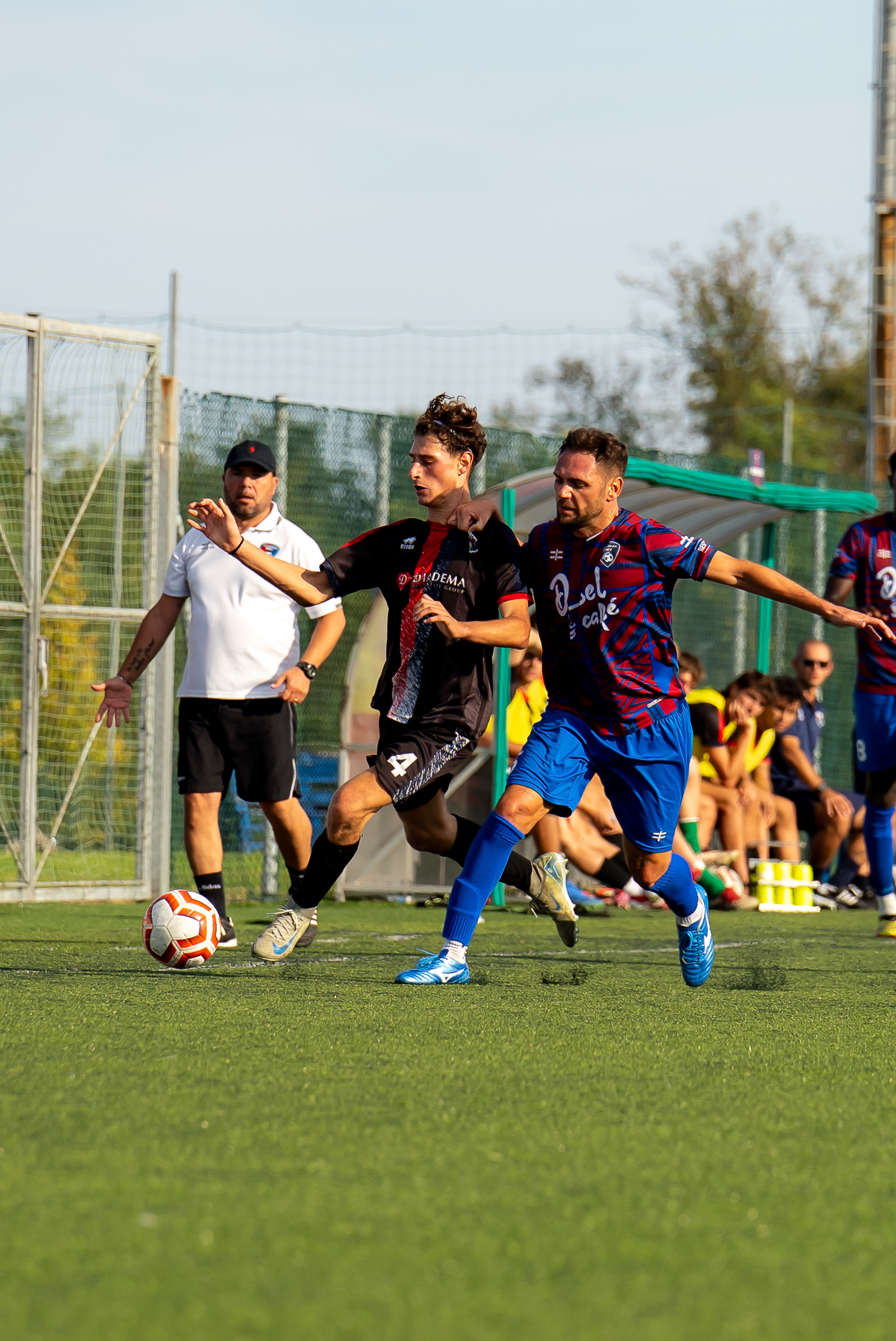 Sport